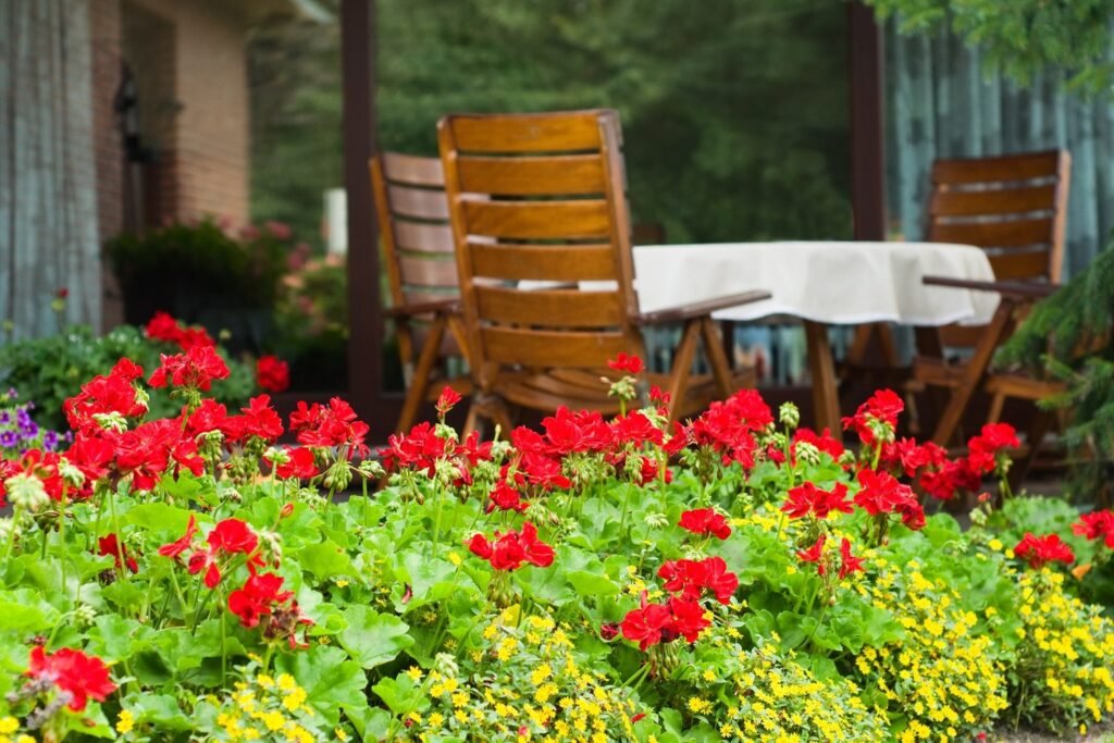 Lawn Care Services