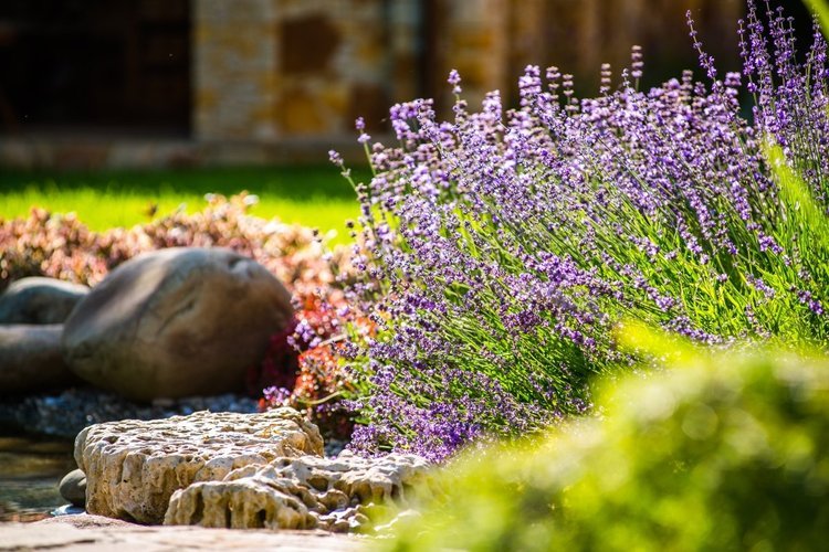 Landscape Maintenance