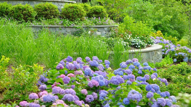 Yard Maintenance Services