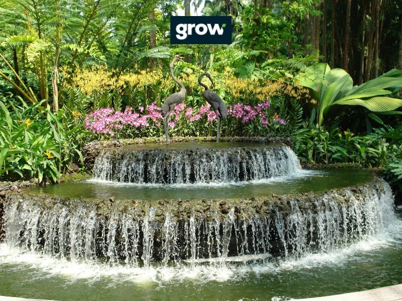 Incorporating Water Features for a Luxe Touch