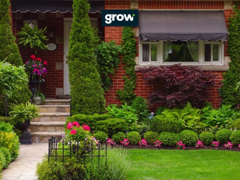Native Plants: A Low-Maintenance Solution