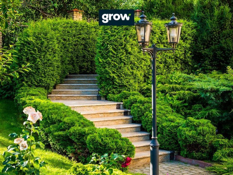 Vertical Landscaping: Maximize Your Space